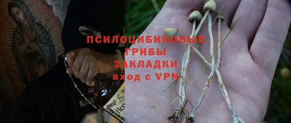 СК Алзамай