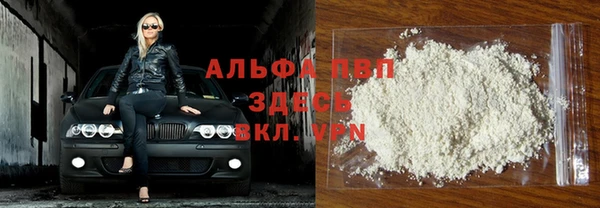 СК Алзамай