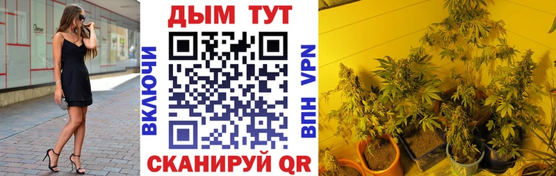 мега маркетплейс  наркошоп  Бабушкин  Канабис OG Kush 